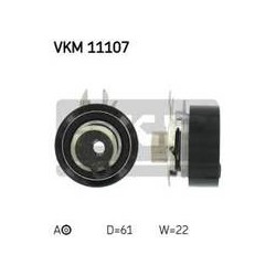 VKM 11107 A