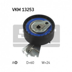 VKM 13253 A